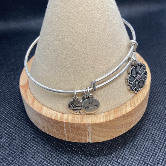 💜ALEX AND ANI💜 Healing Love Flower
Charm Bangle in Rafaelian Silver/EUC - Picture 5 of 8
